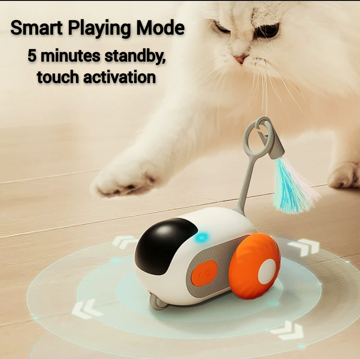 Cat Remote Control Play Car