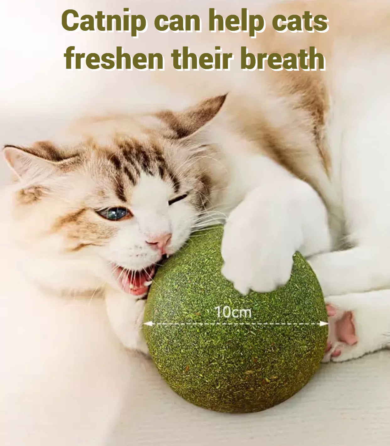 Solid Catnip Ball Big Size 10cm!!!