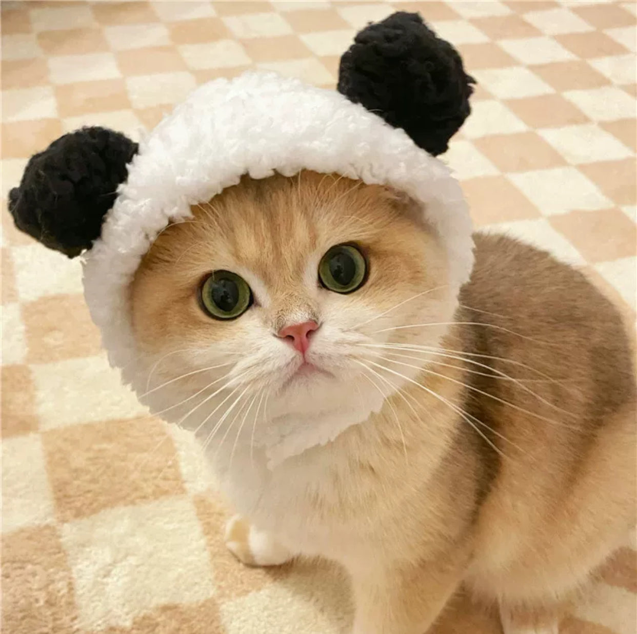 Adorable Cat Hat โ The Perfect Accessory for Your Furry Friend! ๐ฑ๐ฉ