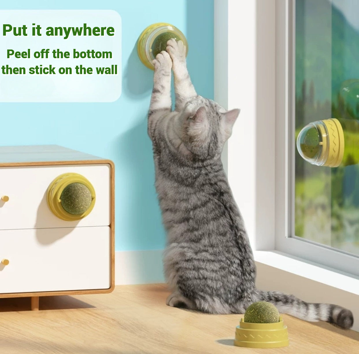 Catnip ball edible toy (with sticker on the wall)