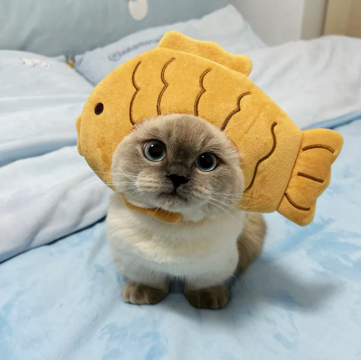 Adorable Cat Hat โ The Perfect Accessory for Your Furry Friend! ๐ฑ๐ฉ